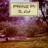 Prinz Pi