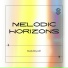 Study Boy LoFi