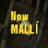 Mallí