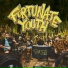 Fortunate Youth