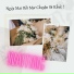 Mưa Mùa Hạ