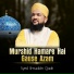 Syed Ilmuddin Qadri