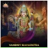 MVTY DHAM, Hemant Joshi