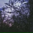 dontleaveme