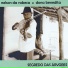 Dona Benedita, Nelson da Rabeca