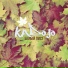 KaDojo