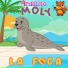 Ardillita Moly