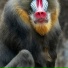 Buki Faso