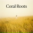 Coral Roots