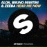 Alok - Bruno Martini