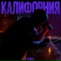Капица