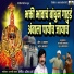 Pallvi Jadhav, Harish Tarte