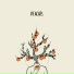 CRAY