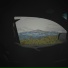 ICM