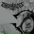 Crypt Rot
