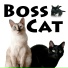 N2 Cat Crew