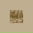 Geotic