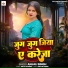 Anjali Singh