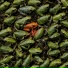 East Frog feat. esenswings