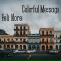 Heli Morel