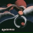 Apodemus