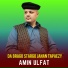 Amin Ulfat