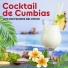Los Cocteleros del Ritmo