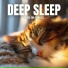 Cat Music Dreams