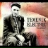 Temenik Electric