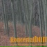 Kollár-Klemencz László
