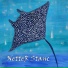 NetteR Stanc
