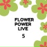 The Bobby Fuller Four