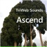 TriWeb Sounds