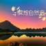 自然瞑想ヨガ