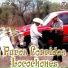 El Halcon De La Sierra