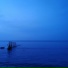 tripsain