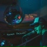 Bill Botting & The Two Drink Minimums