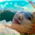 Yana Hovhannisyan