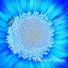 Bubble, John Sobocan