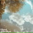 lōland, Phlocalyst