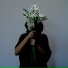 The Dahlias