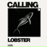Calling: lobster