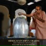 Yogi Shivraj Shambhnath