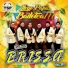 Grupo Brissa