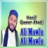 Hanif Qamar Abadi