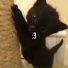 Lil Noname