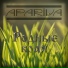 APARIVA
