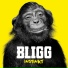 Bligg