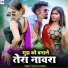 Santosh Vishwikar