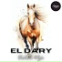 El Dary